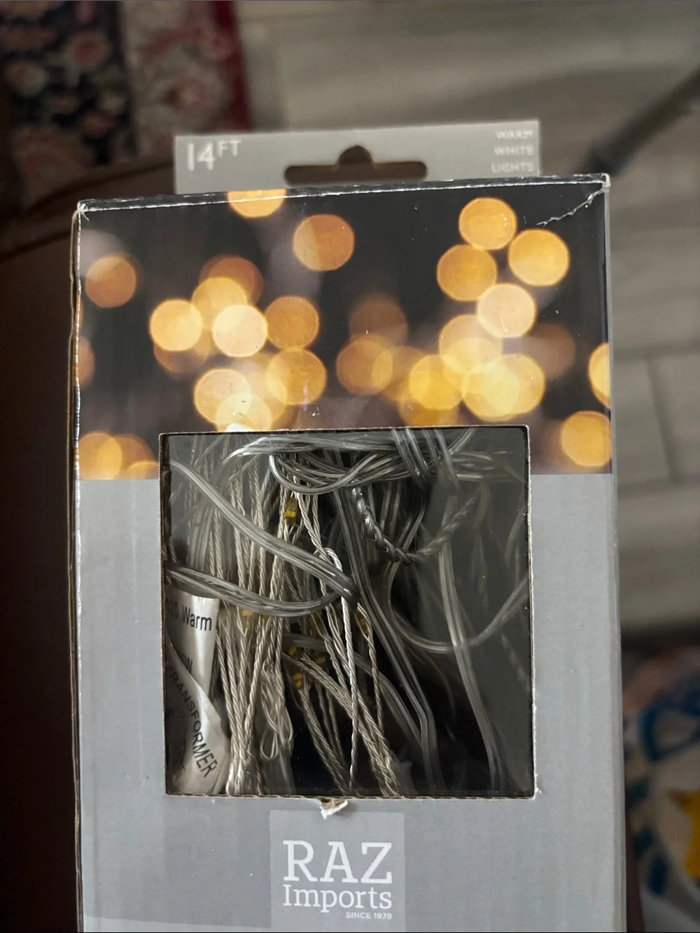RAZ Imports Warm White Decorative Lantern String Lights